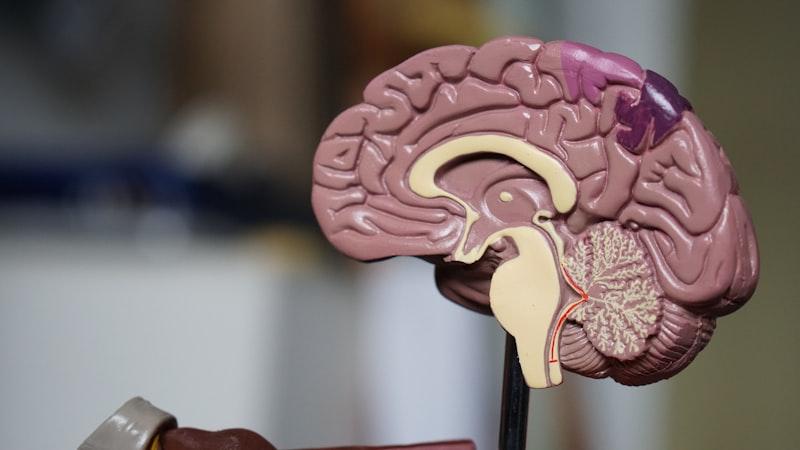Biohacking, Biomarkers, and the Longevity Protocol